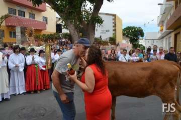 Misa, desfile del ganado y procesión religiosa en el Valle de los Nueve de Telde (Foto Francisco Javier Santana)